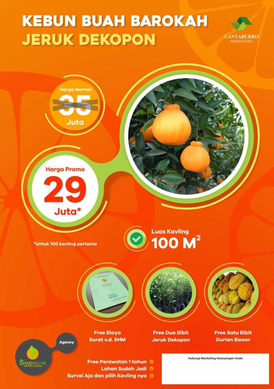 promo kavling jeruk dekopon